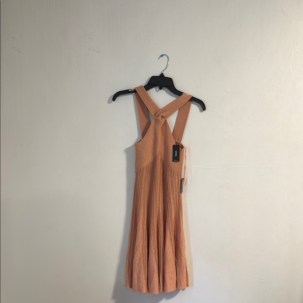 Express Pink Backless Dress